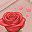 Pink Rose