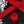 Red Black