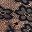 Black Purple