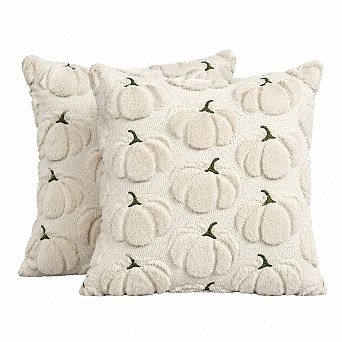 Set of 2 Fall Pumpkin Decorations Home Pillow Covers Plush Polyester
