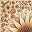Cream Rust Brown