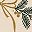 Ribbon Evergreen