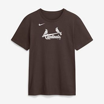 Men's Nike Brown St. Louis Cardinals Core Cinder T-Shirt