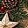 Rustic Evergreen