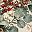 Eucalyptus Evergreen