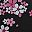 Cherry Blossom