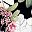 Bigleafpink