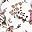 White Pink Flowers