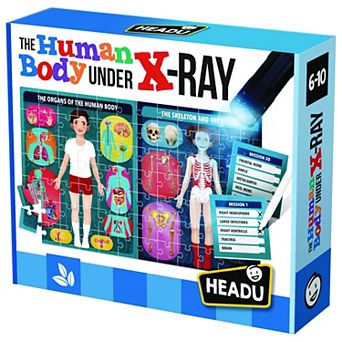 HEADU The Human Body Under X-Ray Educational Puzzle