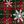 Red Green