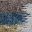 Brown Yellow Blue
