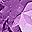 Genuine Amethyst