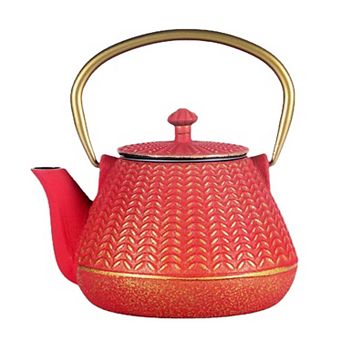Cast Iron Tea Kettle Enameled Interior Stainless Steel Infuser Stovetop Safe