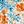 Apricot Blue Orange