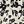 Ivory Black Floral