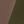 Black Olive Green