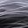 Black Gray