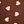 Coffee Brown White