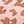 Leopard Pink