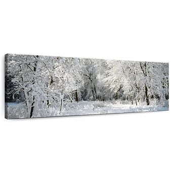 Winter In Yosemite II Wall Art