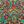 Multicolor