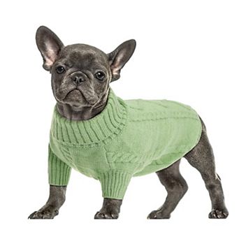 Winter Dog Sweater