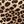 Leopard Print No Wait
