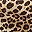 Leopard Print No Wait