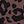 Leopard Print Is Not