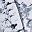 Black Marble White