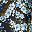 Floral Blue Yellow