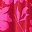 Red Big Floral