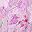 Light Purple Floral