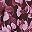 Purple Floral