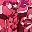 Red Floral