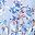 Sky Blue Floral