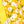 Dark Yellow