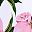 Pink White
