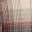 Fieldstone Plaid