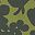 Olive Shadow Floral