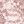 Rose Pink