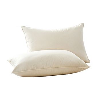 Puredown 4-Layer SurroundFill Pillow (set of 2)