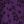 Floral Purple