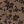 Coffee Brown