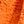 Burnt Orange