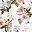 White Floral
