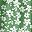 Green White Flower