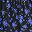 Black Blue Floral