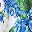 Blue Floral