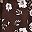 Brown White Floral